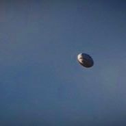 Rugby Ball in the Air Avatar for PHR