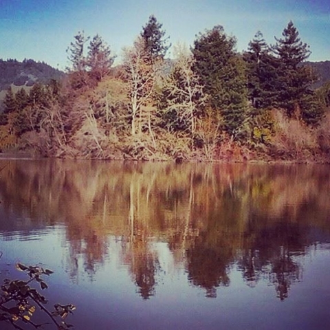 Fall at Spring Lake, Santa Rosa, California